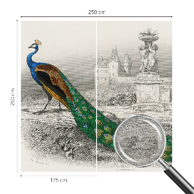 Motivtapete aus Vlies Bunte Federn