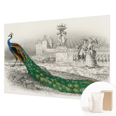 Motivtapete aus Vlies Bunte Federn