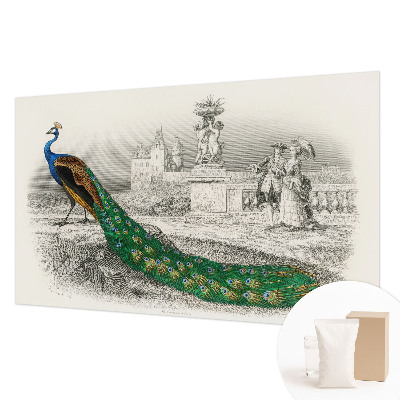 Motivtapete aus Vlies Bunte Federn