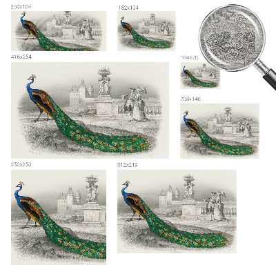 Motivtapete aus Vlies Bunte Federn