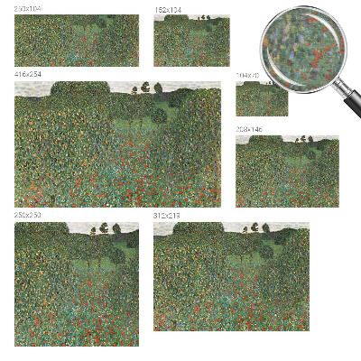 Bildtapete Blumenwiese