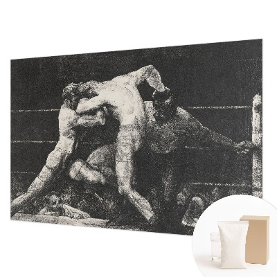 Dekorative Wand-Fototapete Boxerduell