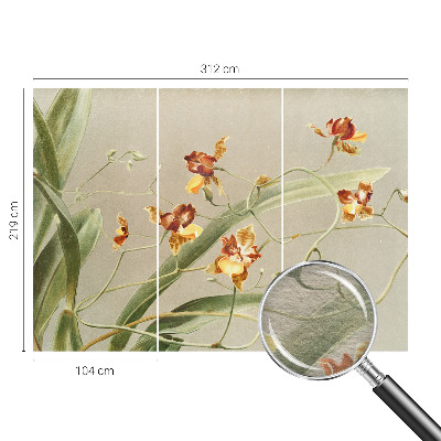 Fototapete fürs Kinderzimmer mit klassischem Orchideenmotiv