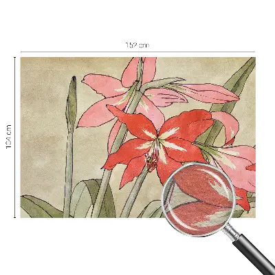 Fototapete aus Vlies mit Motiv von Taglilienblüten