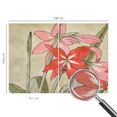 Fototapete aus Vlies mit Motiv von Taglilienblüten