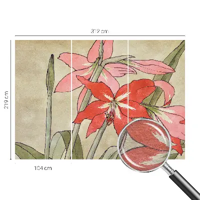 Fototapete aus Vlies mit Motiv von Taglilienblüten