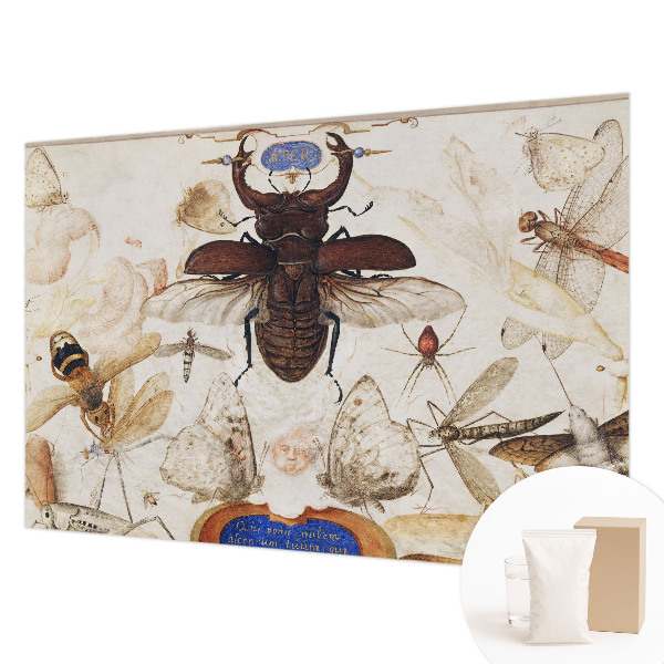 Vliestapete fürs Wohnzimmer Natürliche Harmonie