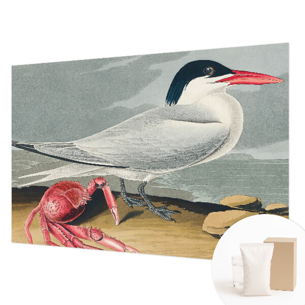 Fototapete nach Maß Meereslandschaft