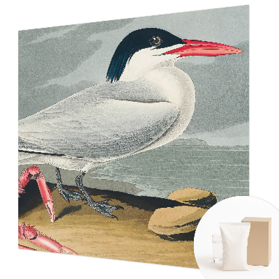 Fototapete nach Maß Meereslandschaft