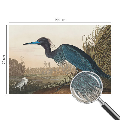 Fototapete aus Vlies Wasservögel