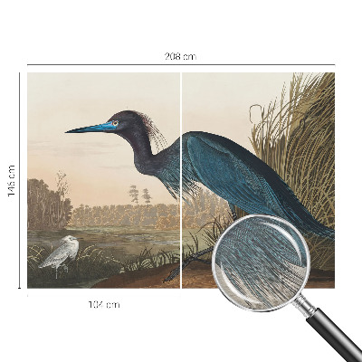 Fototapete aus Vlies Wasservögel