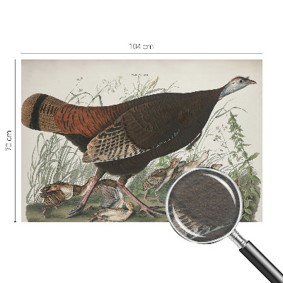 Wand-Fototapete Natürliche Harmonie