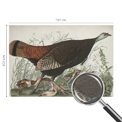 Wand-Fototapete Natürliche Harmonie