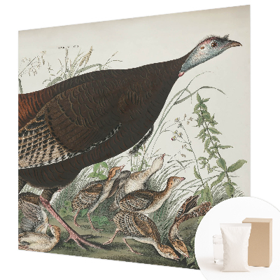 Wand-Fototapete Natürliche Harmonie