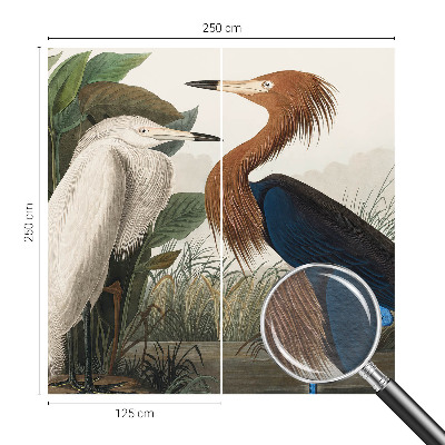 Fototapete Vögel in Pflanzen