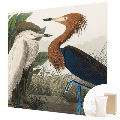 Fototapete Vögel in Pflanzen