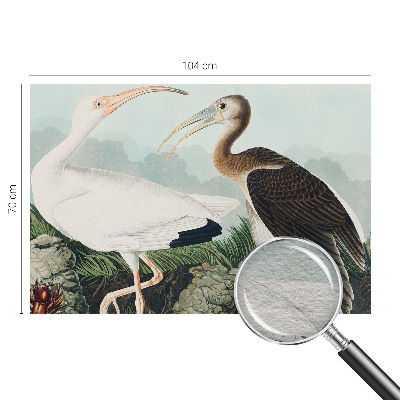 Dekorative Wand-Fototapete Vogelpaar