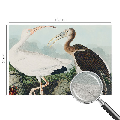 Dekorative Wand-Fototapete mit einem Vogelpaar als Motiv