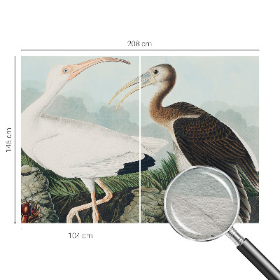 Dekorative Wand-Fototapete mit einem Vogelpaar als Motiv