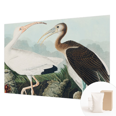 Dekorative Wand-Fototapete mit einem Vogelpaar als Motiv