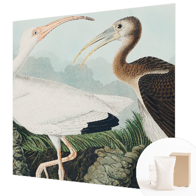 Dekorative Wand-Fototapete mit einem Vogelpaar als Motiv