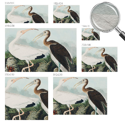 Dekorative Wand-Fototapete Vogelpaar