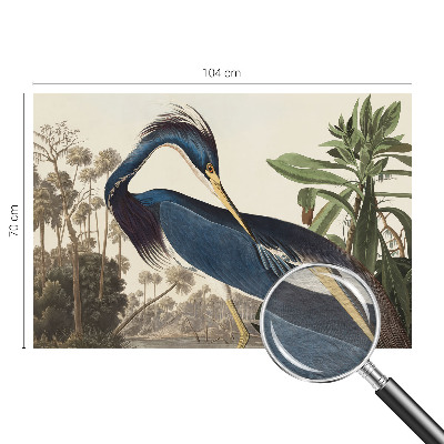 Fototapete fürs Wohnzimmer Exotische Natur