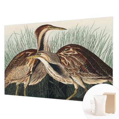Wandtapete mit realistischen Vogelmotiven