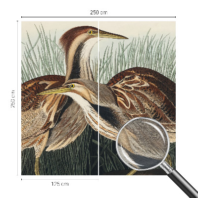 Wandtapete mit realistischen Vogelmotiven