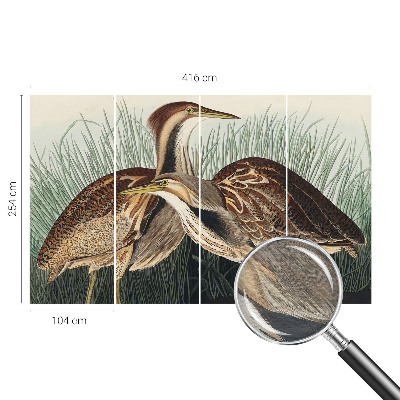 Wandtapete mit realistischen Vogelmotiven