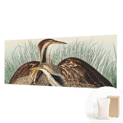 Wandtapete mit realistischen Vogelmotiven