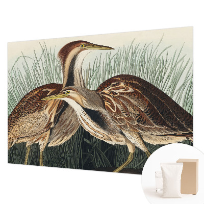 Wandtapete mit realistischen Vogelmotiven