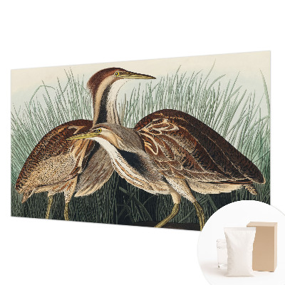 Wandtapete mit realistischen Vogelmotiven