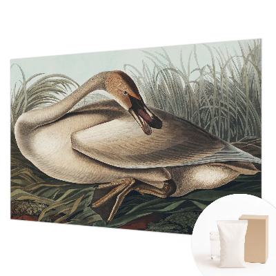 Vlies-Fototapete mit Motiv eines natürlichen Vogels