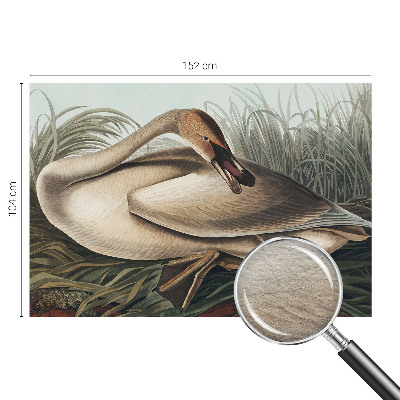 Vlies-Fototapete mit Motiv eines natürlichen Vogels