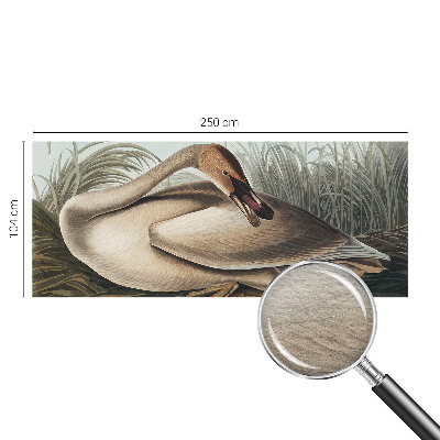 Vlies-Fototapete mit Motiv eines natürlichen Vogels