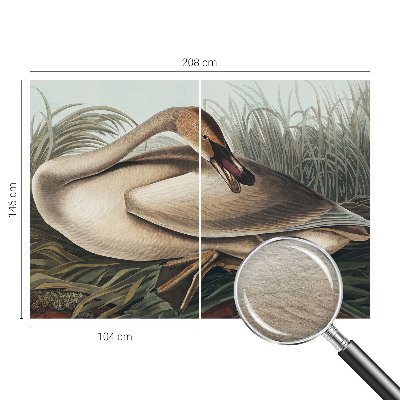 Vlies-Fototapete mit Motiv eines natürlichen Vogels
