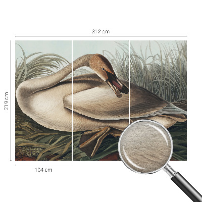 Vlies-Fototapete mit Motiv eines natürlichen Vogels