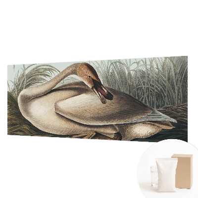 Vlies-Fototapete mit Motiv eines natürlichen Vogels