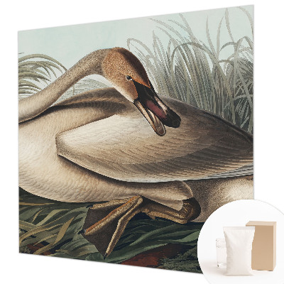 Vlies-Fototapete mit Motiv eines natürlichen Vogels