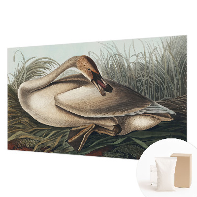 Vlies-Fototapete mit Motiv eines natürlichen Vogels