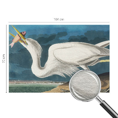 Vlies-Fototapete nach Maß mit Motiv eines Vogels, der einen Fisch hält