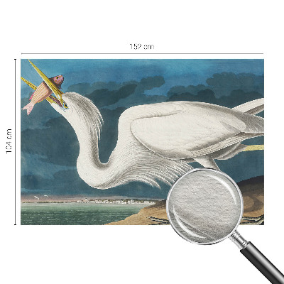 Vlies-Fototapete nach Maß mit Motiv eines Vogels, der einen Fisch hält