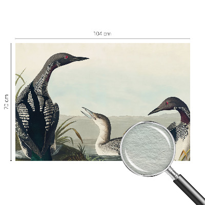 Fototapete fürs Schlafzimmer Vögel über dem Wasser