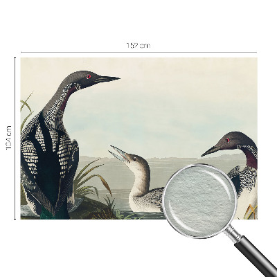 Fototapete fürs Schlafzimmer Vögel über dem Wasser