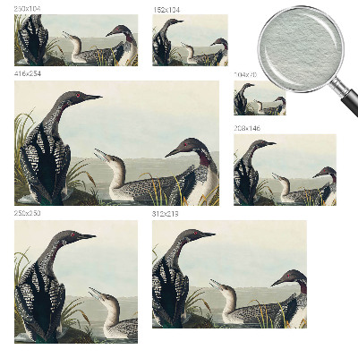 Fototapete fürs Schlafzimmer Vögel über dem Wasser