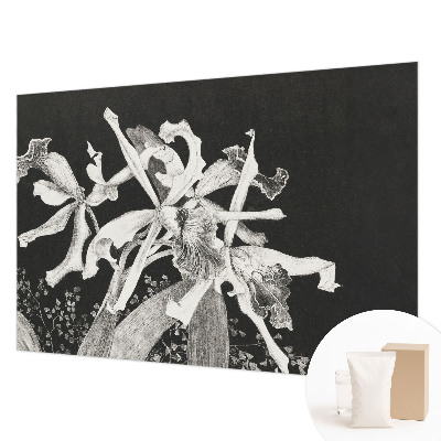 Fototapete fürs Kinderzimmer mit einer Orchideenillustration