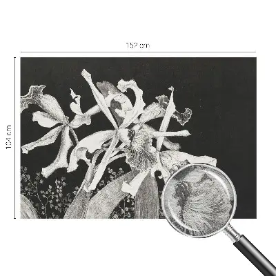 Fototapete fürs Kinderzimmer mit einer Orchideenillustration