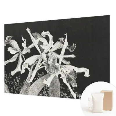 Fototapete fürs Kinderzimmer mit einer Orchideenillustration