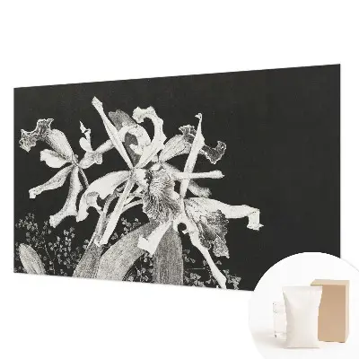 Fototapete fürs Kinderzimmer mit einer Orchideenillustration